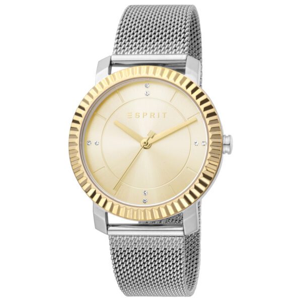 Esprit dames horloge ES1L184M0045 - polshorloge - 5ATM - gratis armband - Zilver en Goud kleur - Afbeelding 2