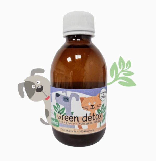 KasTete Franse Natuurlijke drainagesiroop lever en nieren voor honden en katten - puur kruiden complex - detox - 250ml